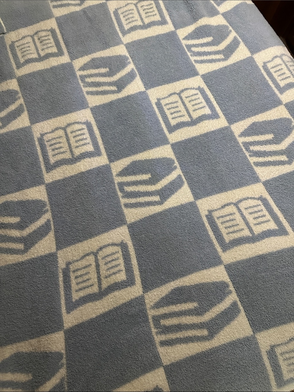 Cozy Checkered Book-Print Throw Blanket in Light Blue and Cream